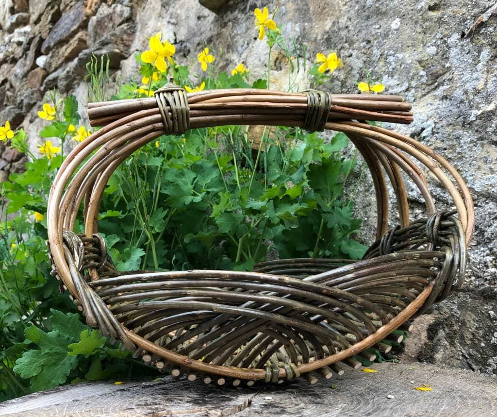Illustration de l'événement : Stage : panier Zarzo