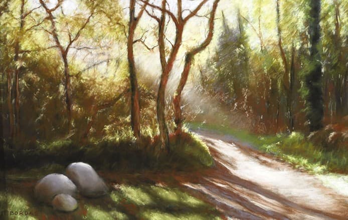 Illustration de l'événement : Stages pastel de Michel Bordas au Grand Saint-Léonard