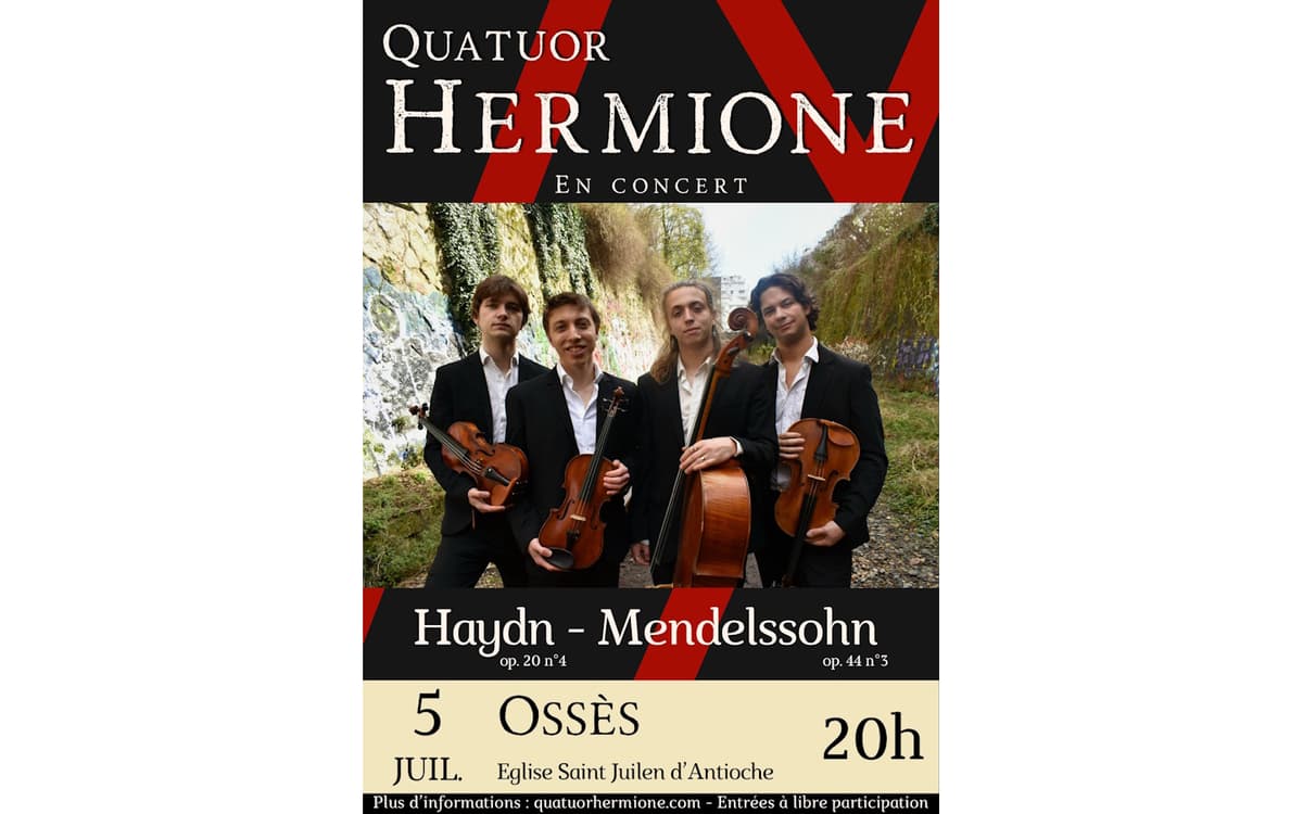 Illustration de l'événement : Concert Quatuor Hermione