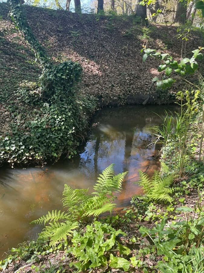 Illustration de l'événement : Balade contée le long du Bétey "Le murmure du ruisseau"