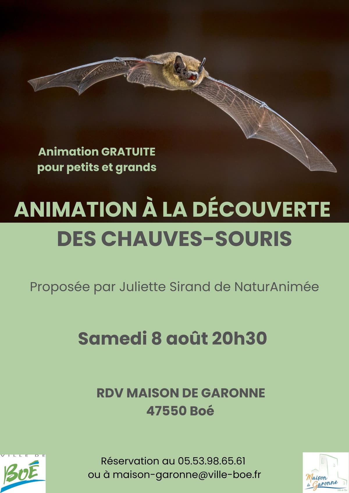 Illustration de l'événement : A la découverte des chauves-souris
