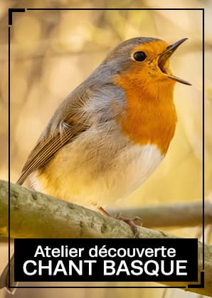 Illustration de l'événement : Atelier "chants basques"