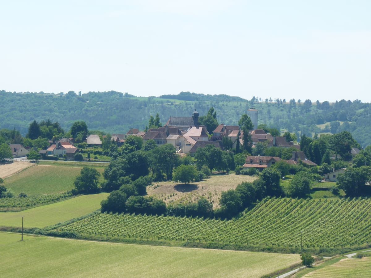 Illustration de l'événement : Balade commentée du bourg béarnais du XVIIIe