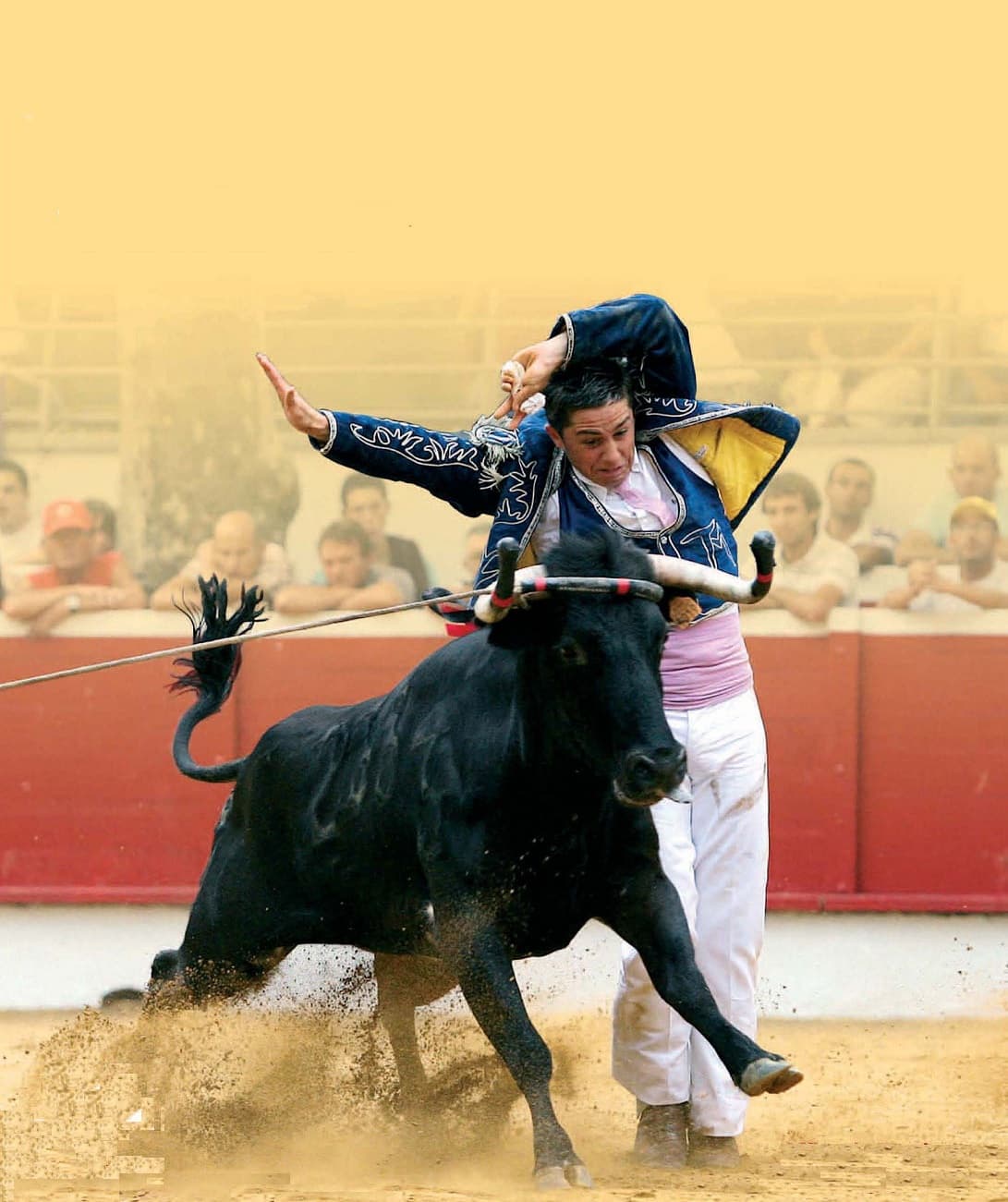 Illustration de l'événement : Semaine Landaise / Course landaise / Bulls on the beach