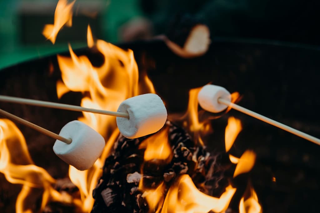 Illustration de l'événement : Chamallow grillés au camping des Roussilles