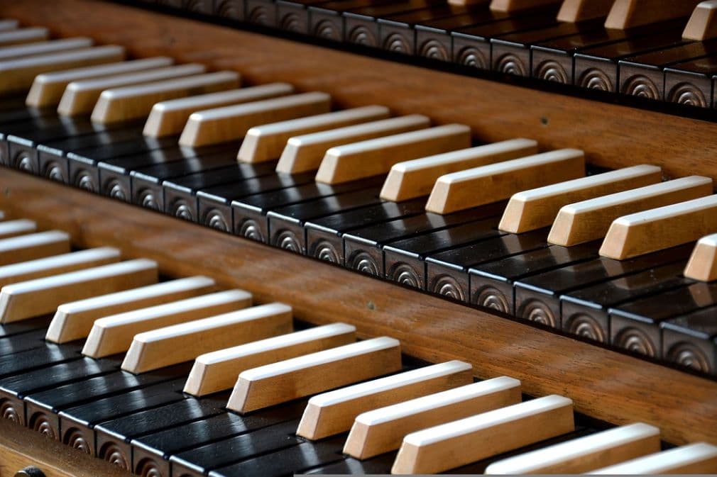 Illustration de l'événement : Les Estivales | Les Samedis de l'Orgue