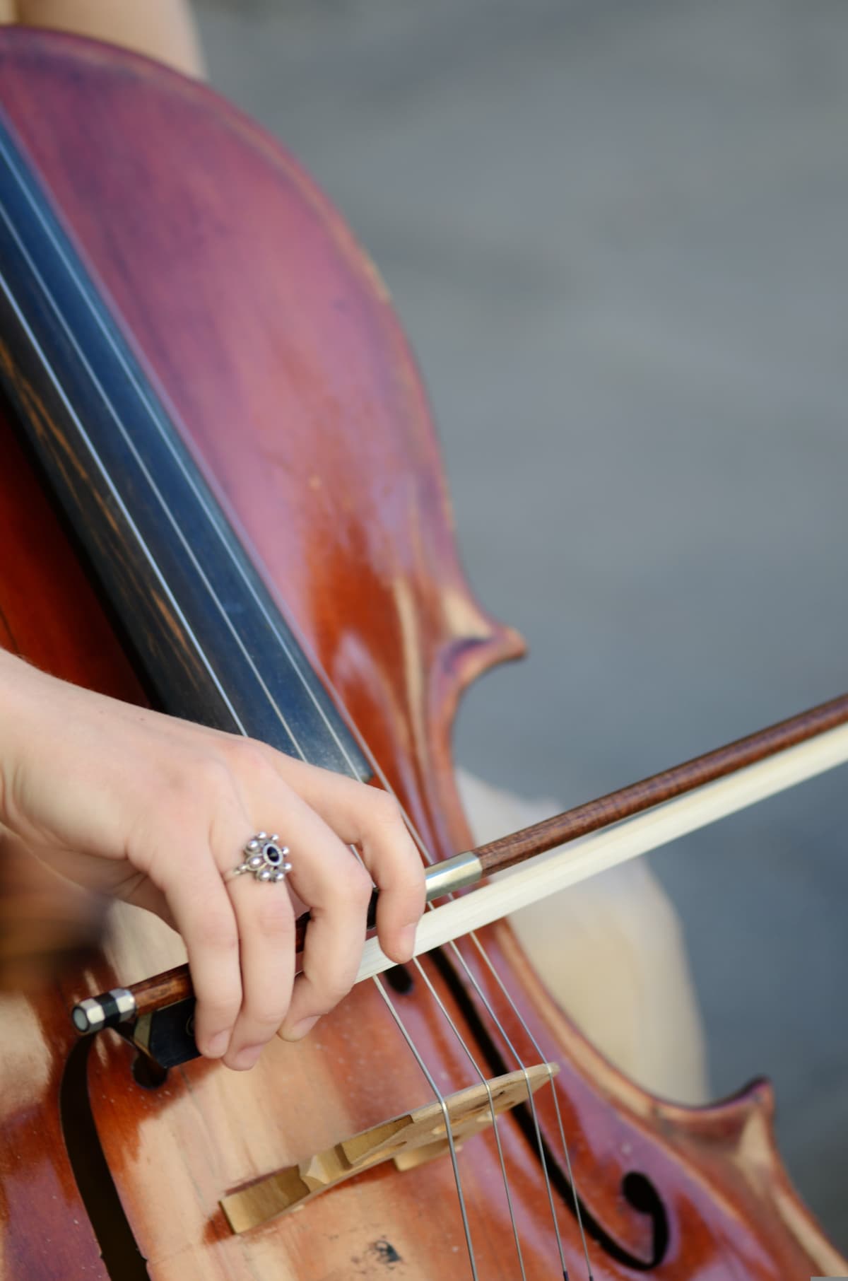 Illustration de l'événement : Festival du Périgord Noir : suite de Bach et voyage