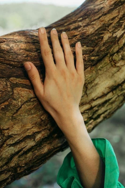 Illustration de l'événement : Été actif - Animation xylothèque sensorielle