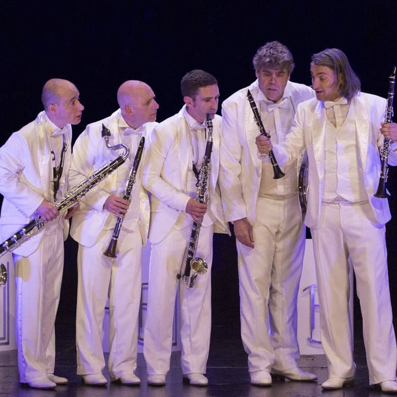 Illustration de l'événement : Les Estivales d'ArtenetrA : Concert-spectacle LES BONS BECS
