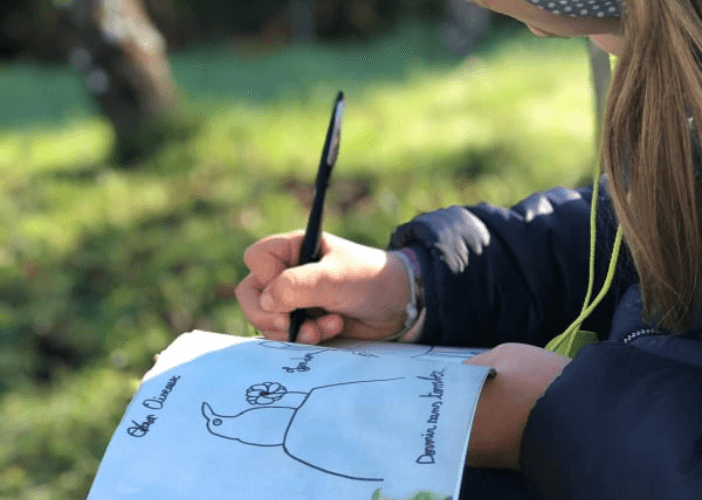 Illustration de l'événement : Atelier des p'tits curieux "Découvre les oiseaux du jardin et de la forêt"