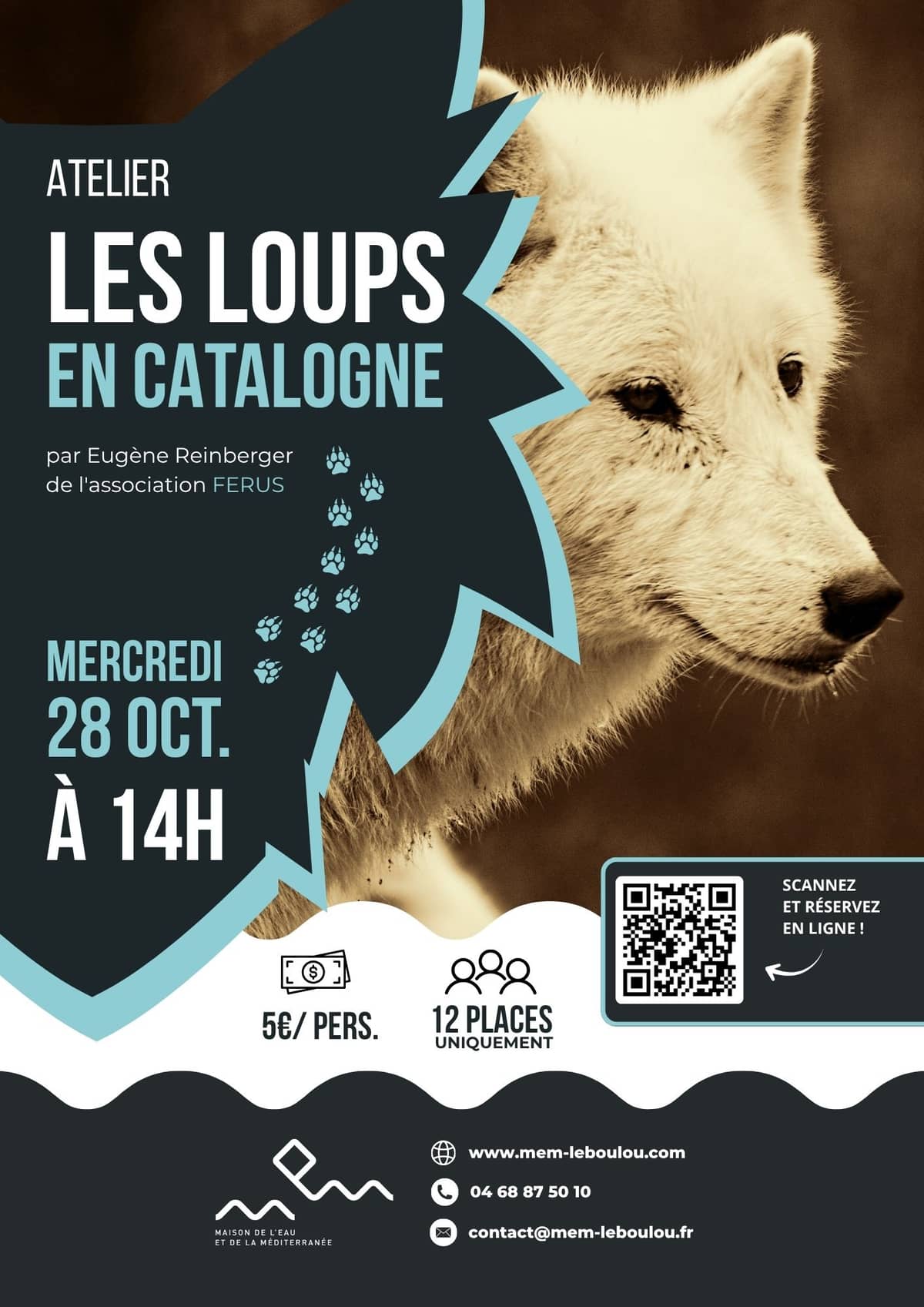Illustration de l'événement : ATELIER SUR LES TRACES DES LOUPS