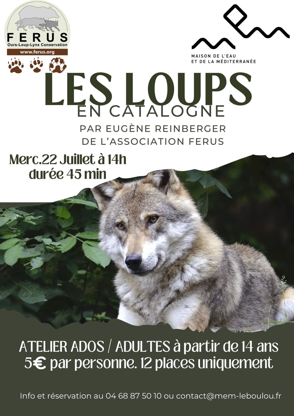 Illustration de l'événement : ATELIER LES LOUPS EN CATALOGNE