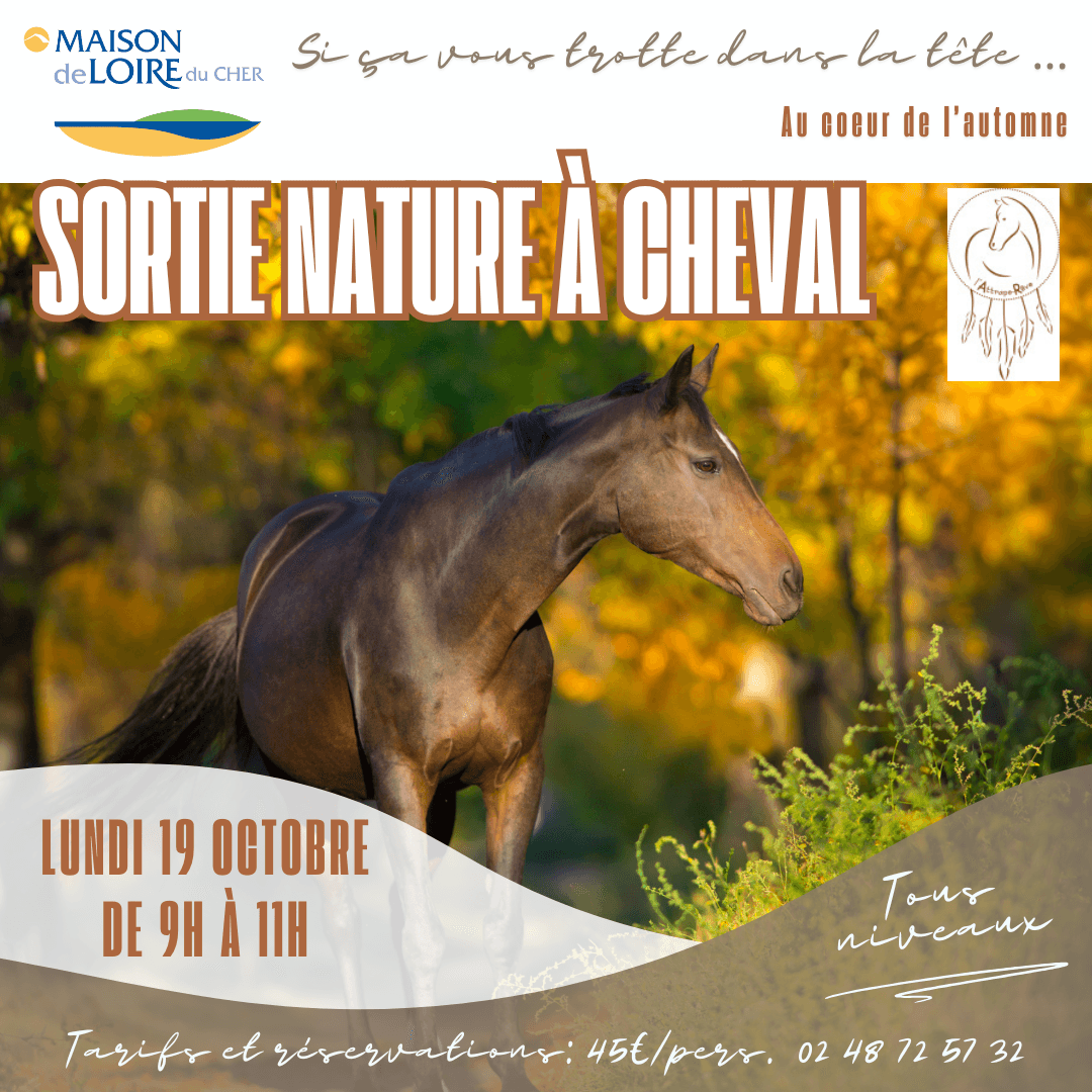 Illustration de l'événement : Sortie nature à cheval