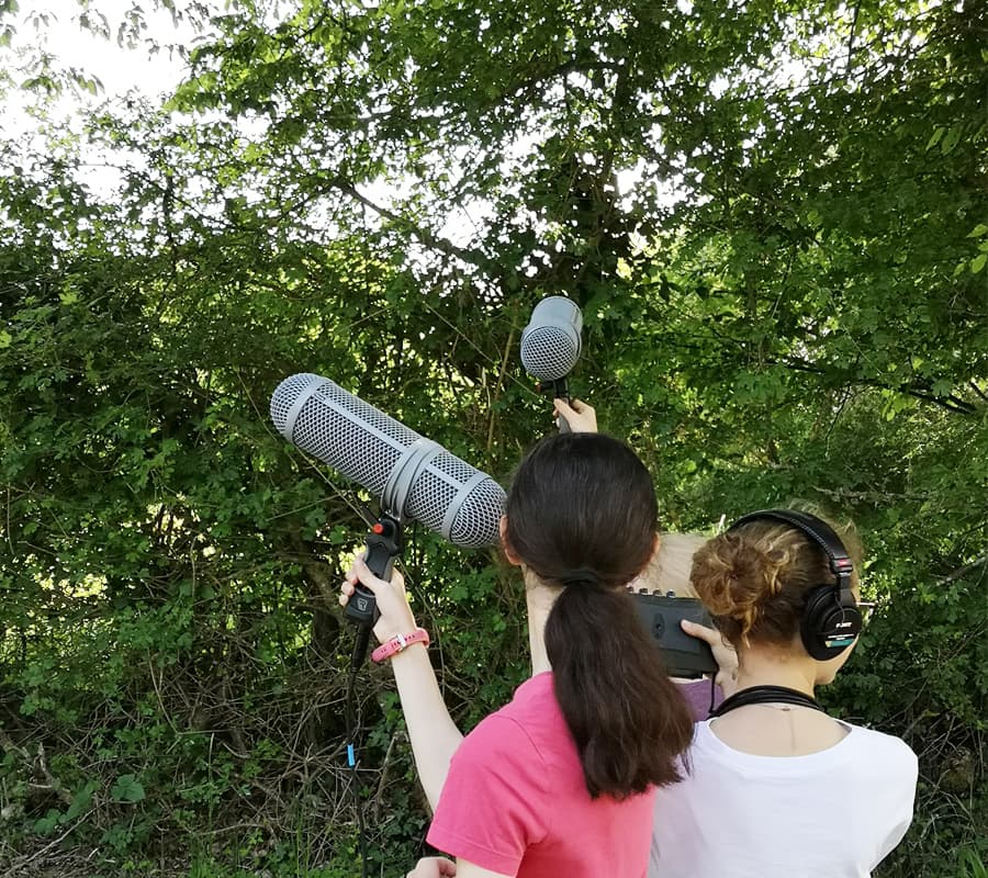 Illustration de l'événement : Audio-naturaliste en herbe