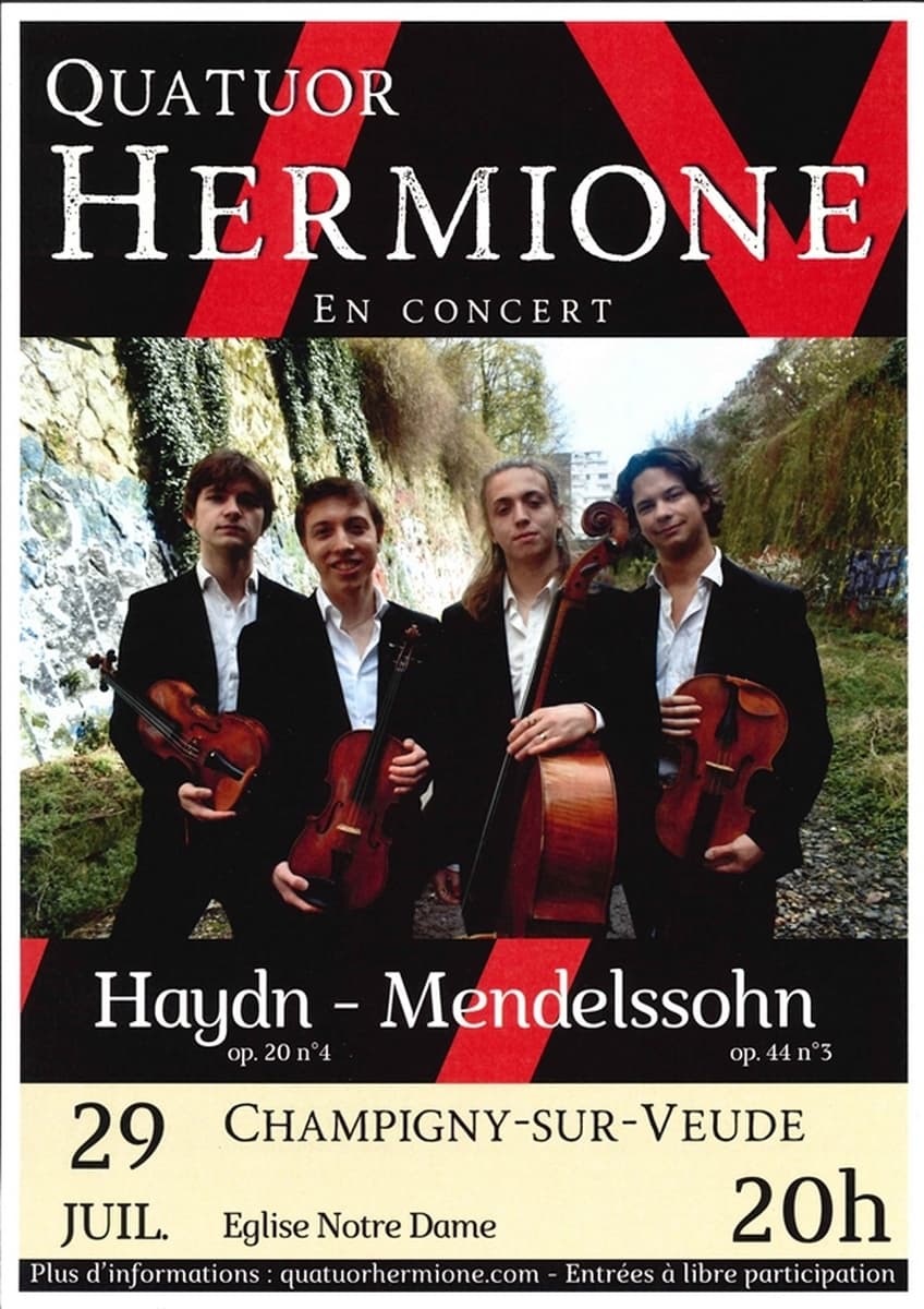 Illustration de l'événement : Concert du Quatuor Hermione