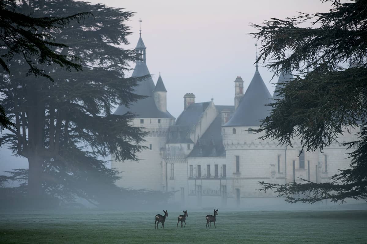 Illustration de l'événement : Noël au château de Chaumont-sur-Loire - Chasse au trésor