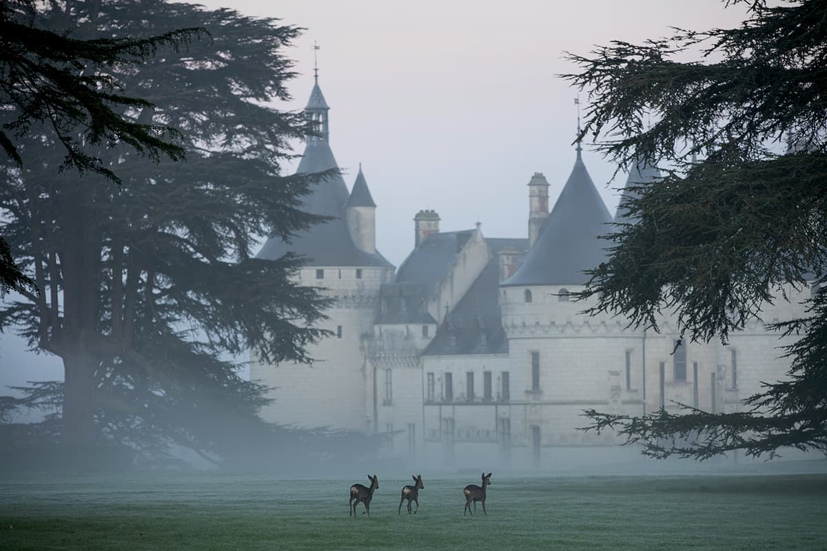 Illustration de l'événement : Noël au château de Chaumont-sur-Loire - Chasse au trésor