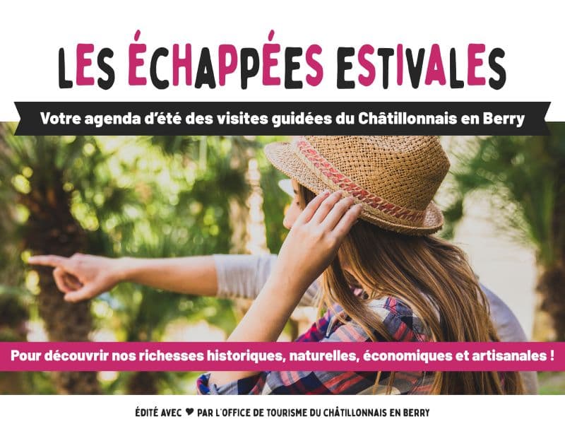 Illustration de l'événement : Les Échappées Estivales : Promenades nature accompagnées à la découverte de la biodiversité locale