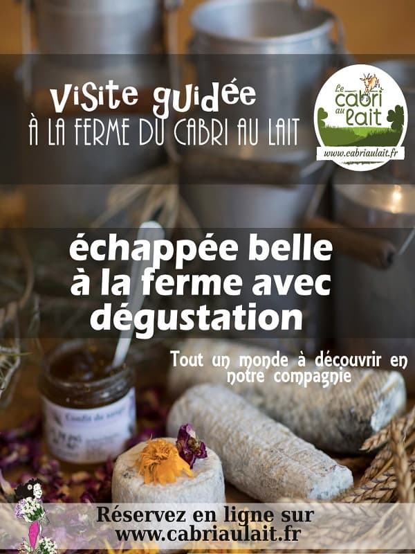 Illustration de l'événement : Echappée belle : Visite découverte de la ferme caprine