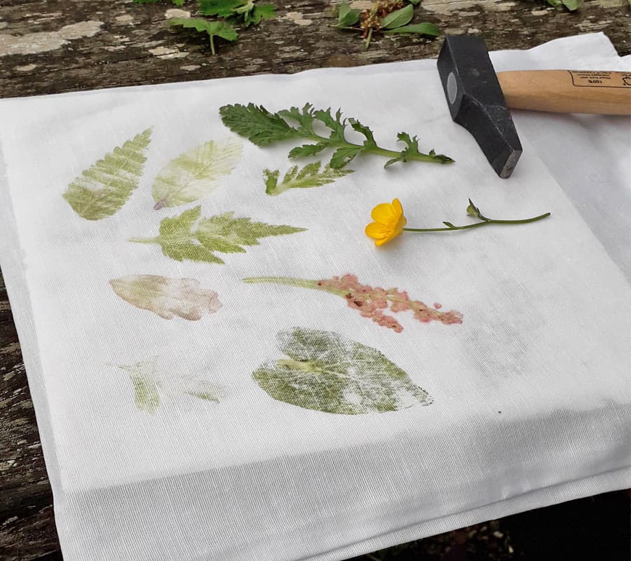 Illustration de l'événement : Atelier "Impression végétale"