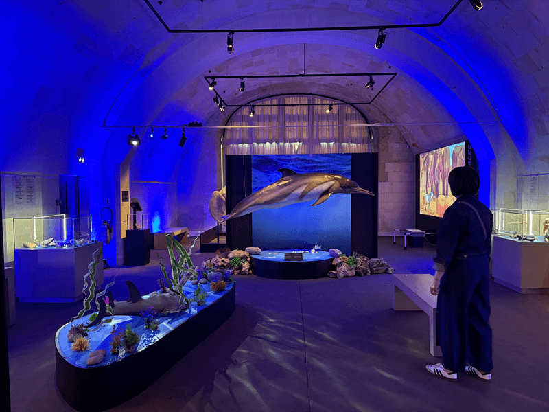 Illustration de l'événement : Atelier Dans la peau d'un paléontologue