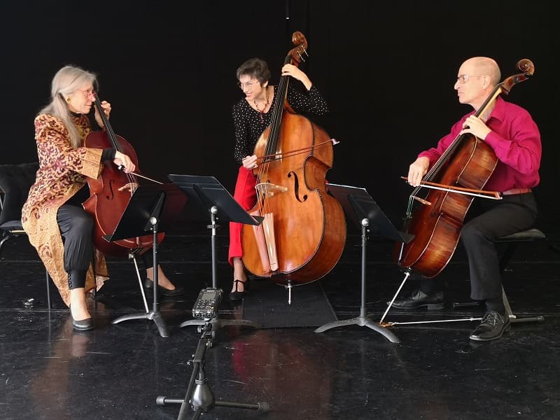Illustration de l'événement : 15e festival Cordes et Compagnies