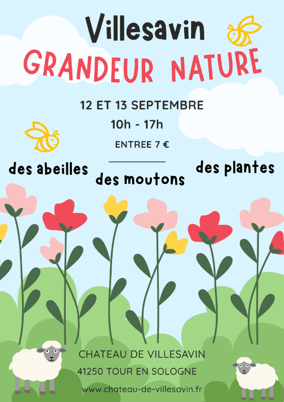 Illustration de l'événement : Villesavin grandeur nature. Abeilles, brebis et nature