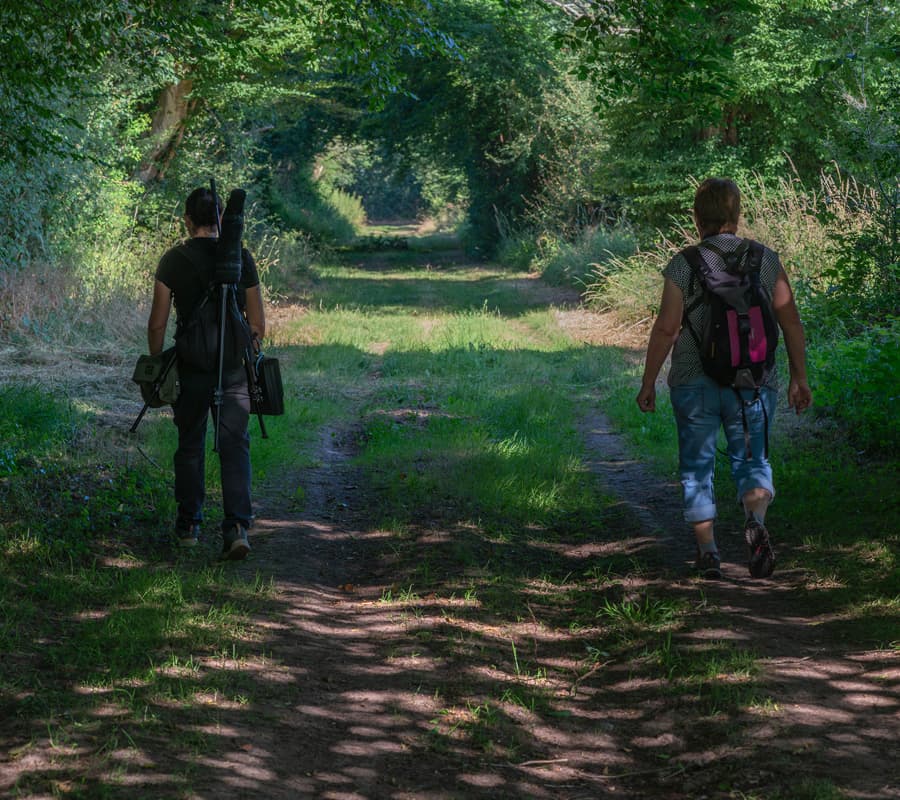Illustration de l'événement : Visite crépusculaire du bocage