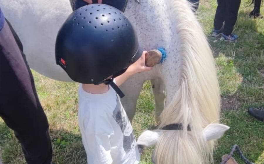 Illustration de l'événement : Les balades à cheval