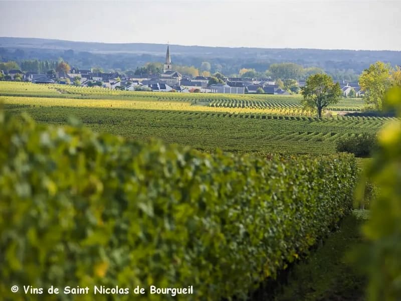 Illustration de l'événement : Vignobles en Scène ! - Reflets de vignes