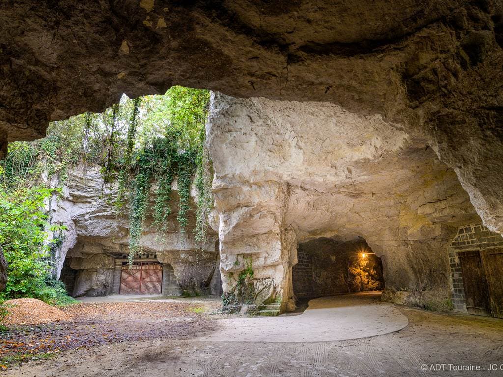 Illustration de l'événement : On se retrouve au frais à la Cave !