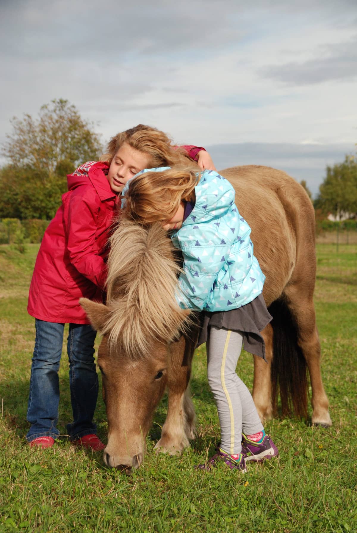 Illustration de l'événement : Vacances de la Toussaint - Stages enfants Touraine Cheval