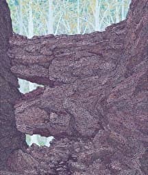 Illustration de l'événement : Le Mur