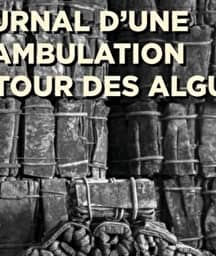 Illustration de l'événement : Conférence : Journal d'une déambulation autour des algues