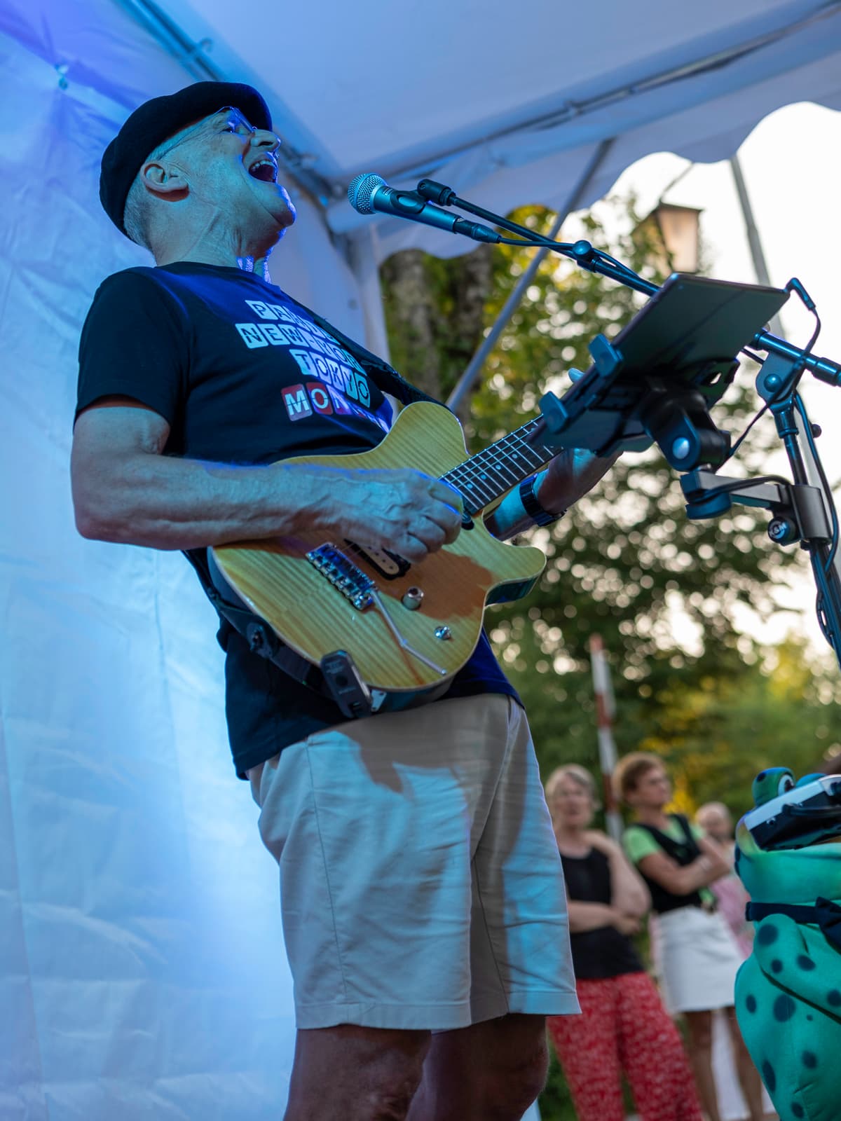 Illustration de l'événement : Concert - Gilles PETITJEAN - 20 juin 2026