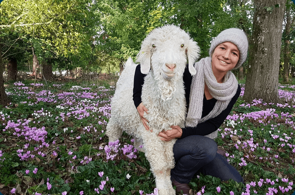 Illustration de l'événement : Atelier à la ferme autour des chèvres Angora et de la laine -La Fée Mohair
