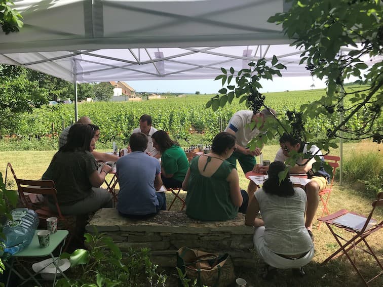 Illustration de l'événement : Festival de Bach à Bacchus - Atelier vins et parfums, Marie-France Bravard : Le parfum d'un vin de Meursault
