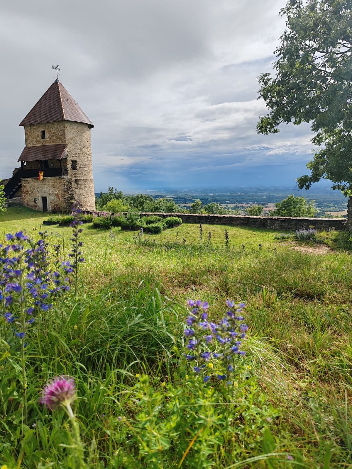 Illustration de l'événement : Visites guidées - portes ouvertes au Château de Chevreaux