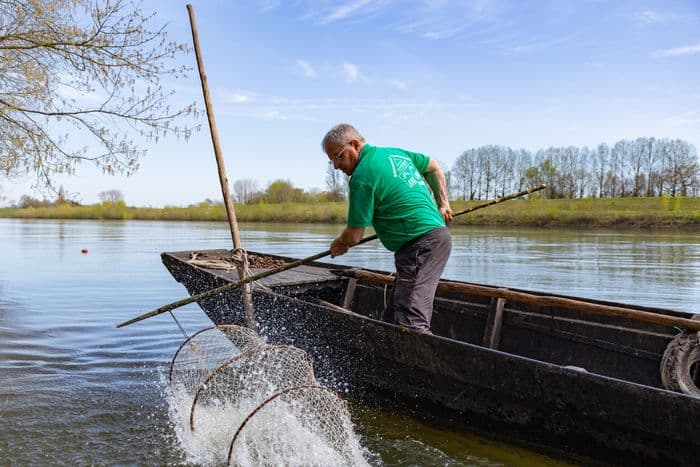 Illustration de l'événement : Conférence : Pêcher en Loire