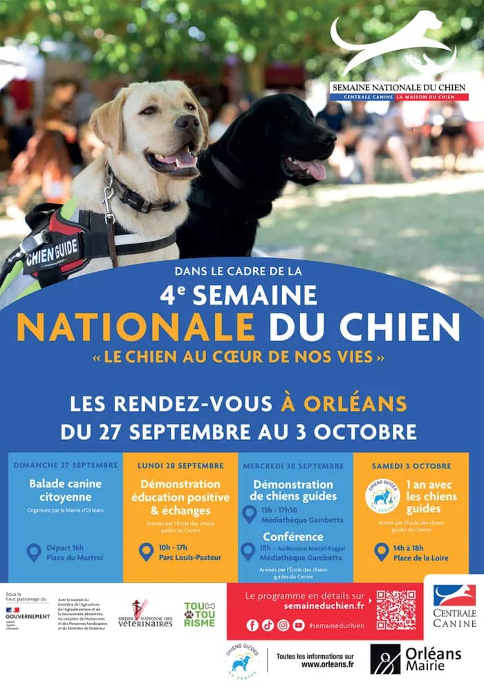 Illustration de l'événement : La semaine du chien