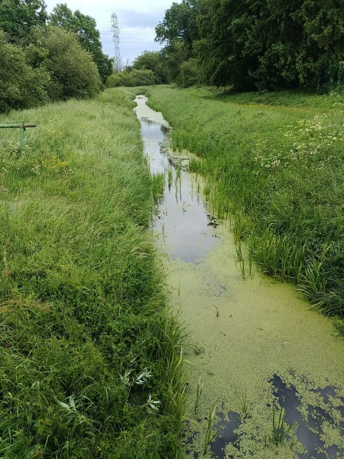 Illustration de l'événement : Balade au fil de l'eau à Coignières