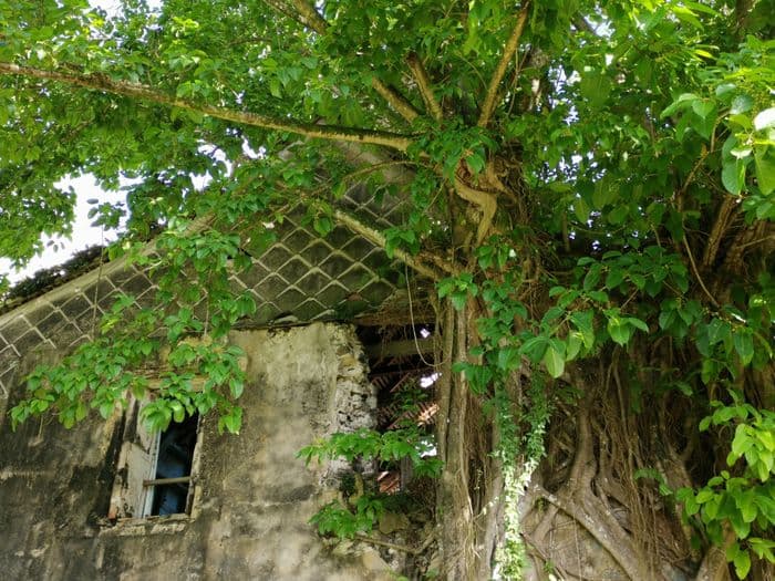 Illustration de l'événement : VISITE COMMENTÉE DE L'HABITATION DUFFERET