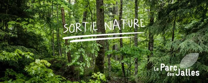 Illustration de l'événement : Balade nature du Parc des Jalles : Mais à qui appartient cette belle plume ?