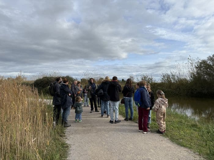Illustration de l'événement : Sortie nature au Parc du Marquenterre