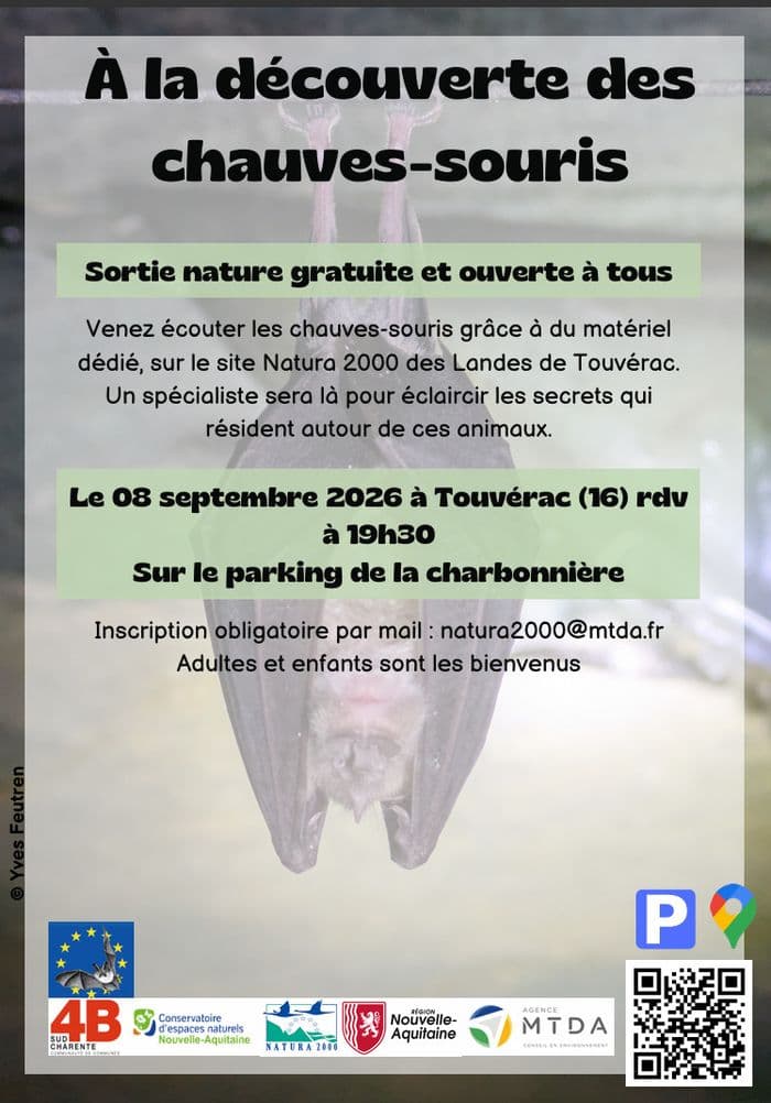 Illustration de l'événement : À la découverte des chauves-souris