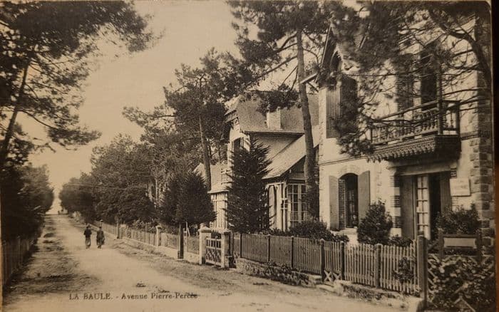Illustration de l'événement : Balade commentée - Quartier des arbres