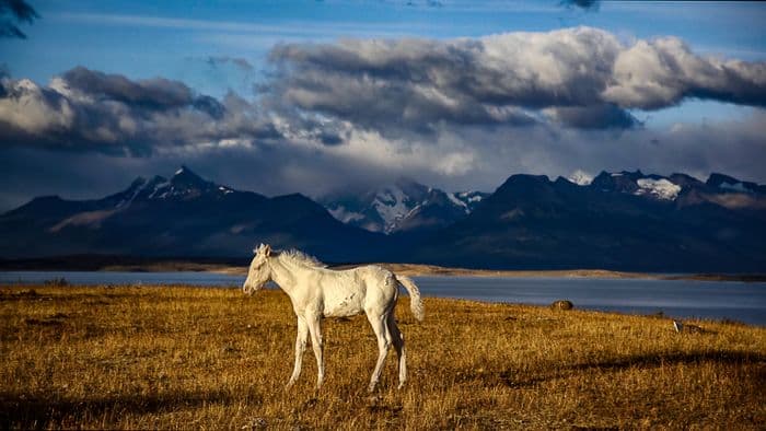 Illustration de l'événement : CONNAISSANCE DU MONDE - Patagonie