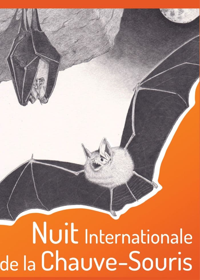 Illustration de l'événement : Nuit des chauves-souris à Gambaiseuil