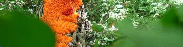 Illustration de l'événement : Randonnée : Biodiversité & paysages, du Mont Des Recollets à Cassel