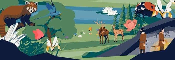 Illustration de l'événement : Jeu de piste numérique : "L'étrange disparition de la botaniste"